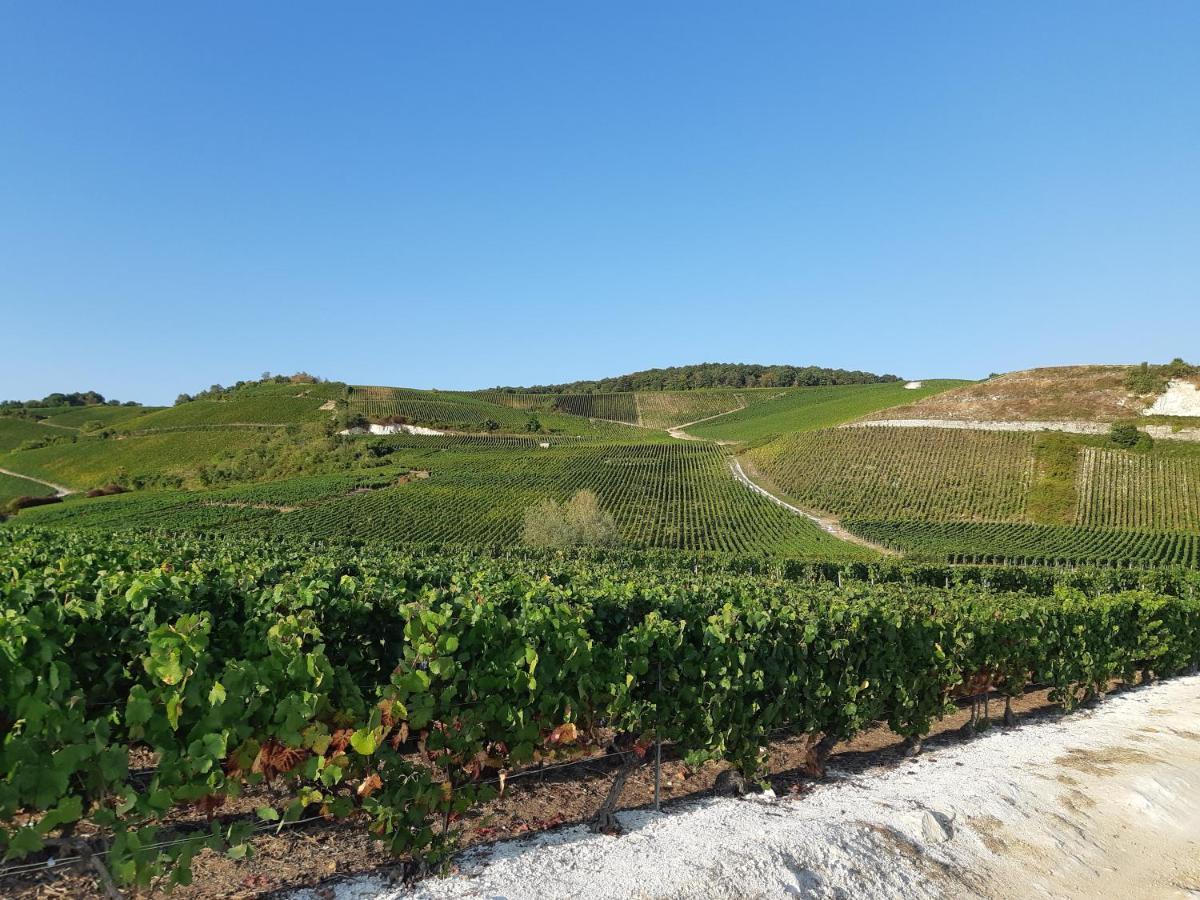 Bed and Breakfast La Cour Des Marotiers Mareuil-sur-Ay Exterior foto